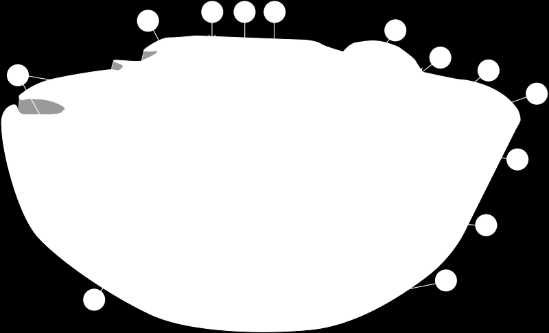 Mitochondrie u živočichů i plastidy u rostlin mají vlastní genetickou informaci odlišnou od jádra a v dávné evoluční minulosti pravděpodobně vznikly splynutím dvou odlišných organismů. Obr.