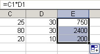 Kopírování vzorců V případě, že máme v tabulce opakující se výpočty, je jednodušší udělat výpočet v jedné buňce a pak vzorec táhnutím za pupík černý čtvereček vpravo dole u označené oblasti a
