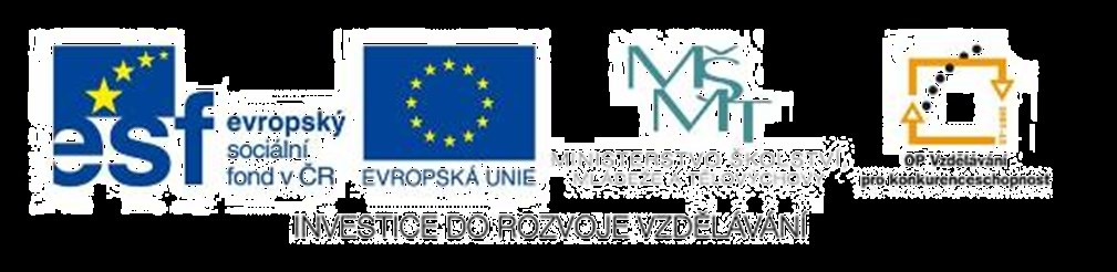 PERSONÁLNÍ ŘÍZENÍ V rámci procesu je popsán systém přijímání, řízení, rozvoje a hodnocení pracovníků, praktikantů a dobrovolníků. V roce 01 ve SKOKu do života pracovalo celkem 43 pracovníků.