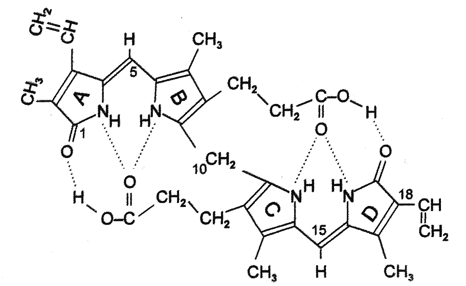 Obrázek 1. Konvenční,,lineární tetrapyrolová forma izomeru bilirubinu IXα (4Z,15) Zdroj: (Vítek et al. 2003, 35) s.