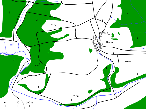Mapování z 50. let 20.století Jen lesní celky1, 3 a 5 stejné jako na třetím vojenském mapování. Les 2 se stáhl ne sever přibliţně o 200 m a zanechal po sobě nový malý les (6) poblíţ Střely.
