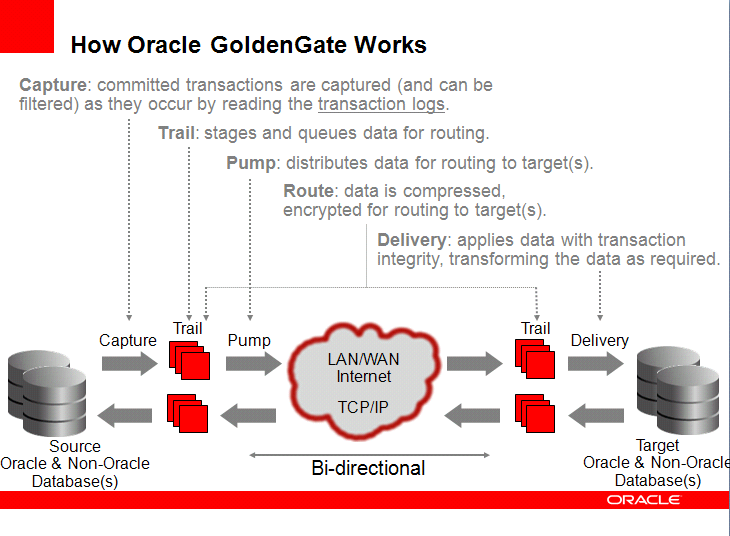 Obrázek 2 Architektura Oracle GoldenGate (5) 2.2.1.