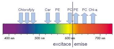 Fytoplankton a fluorescence Princip vzniku fluorescence: Excitační vyvolá excitaci molekuly pigmentu do S1 stavu návrat na původní energetickou hladinu vede k