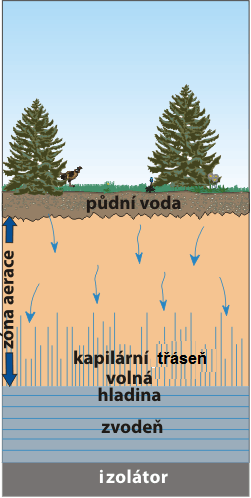 Pohyb kapalin se děje převážně ve vertikálním směru a pro jeho rychlost je důležitým parametrem právě vlhkost. Pásmo kapilární třásně je charakteristické vzlínáním vody ze spodního zvodnělého pásma.