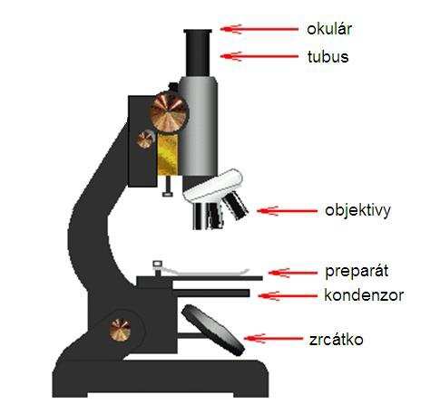 Zvětšení mikroskopu lze určit jako součin úhlového zvětšení objektivu a příčného zvětšení okuláru z = Z.