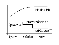 zobrazovací a pomocná vyš. - RTG hrudníku, CT, EEG th dle etiologie nootropní látky (nycergolin, piracetam + lecithin, cholin) 13D.