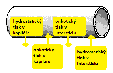 40 - jejich úloha v pohybu tekutin lze vyjádřit jako V = K.