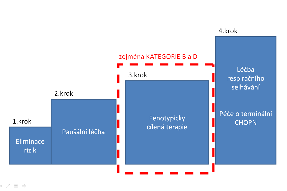 36 Obrázek 2b Přístup k léčbě stabilní CHOPN pro pacienty s jasným