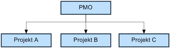 PMIS (Project Management Information System) můţe být vytvořen jako stránka nejvyšší úrovně nebo podřízeného webu. Projekty jsou dočasné, mají počáteční a koncové datum.