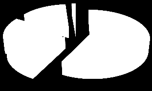 TABULKA 4. Rodinný stav obětí, 2013 Rodinný stav obětí domácího násilí Počet žen V % vdaná 129 57,8% družka 26 11,7% rozvedená 32 14,3% svobodná 34 15,2 % GRAF 6.