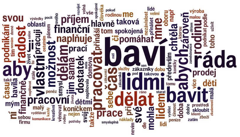 Práce snů podle respondentek word cloud Q6.