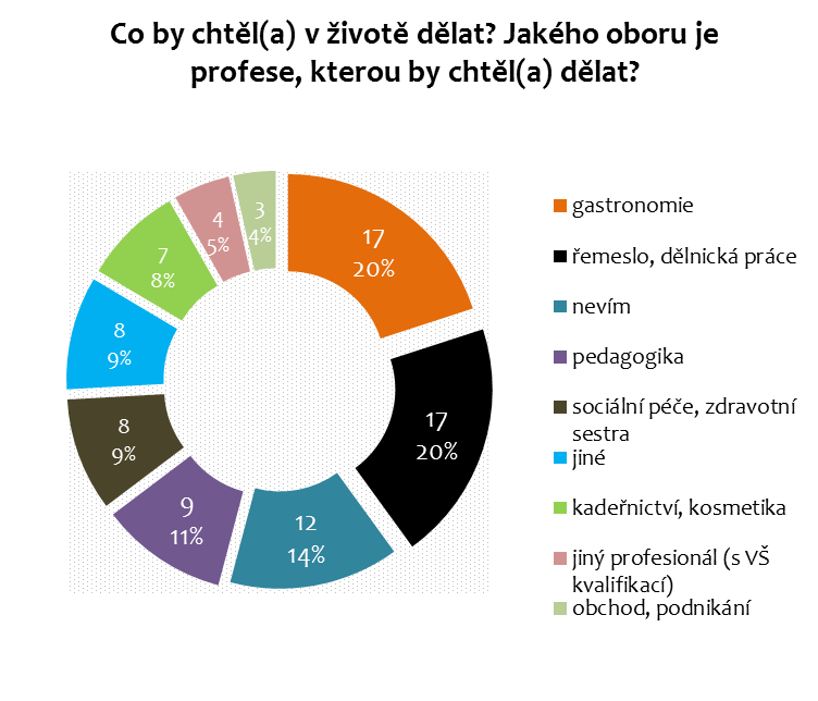 PROFESNÍ ASPIRACE: CO BY CHTĚLI MLADÍ LIDÉ Z DD V ŽIVOTĚ DĚLAT? Odpovědi na otázku, co by chtěli mladí lidé v životě dělat, kopírují to, jakého oboru by chtěli mladí lidé studovat školu.