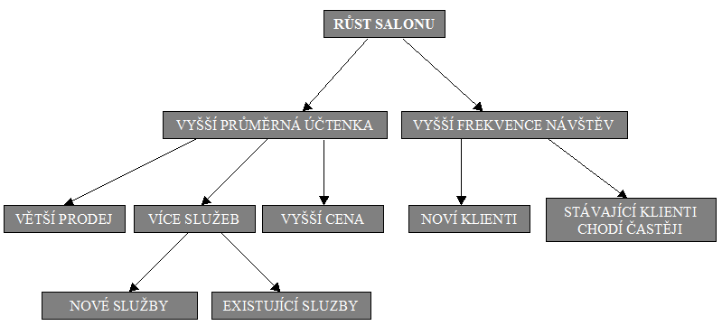 Obr. 6 Schéma růstu kadeřnického salonu Pramen: Interní materiál společnosti L Oréal Růstu obratu salonu je možné docílit vyšší průměrnou účtenkou nebo vyšší frekvencí návštěv zákazníků.