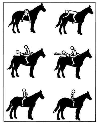 posturu, působením biotepla koně dochází k uvolnění spastických svalů (Cásková, 1995). Největšího efektu při této metodě je dosahováno v tzv.