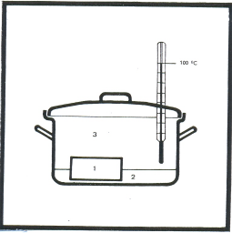 DUŠENÍ Je tepelná technologická úprava, kdy potravina měkne pomocí páry a malého množství šťávy, z něhož se pára tvoří.