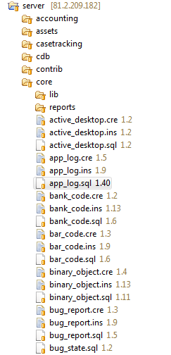 Správa programového kódu Zdrojové kódy uloženy mimo databázi Kompilace