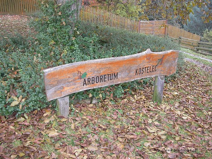 Arboretum Arboretum bylo zřízeno pro účely Lesní fakulty České zemědělské univerzity v roce 1954. Zakladatelem je prof. Dr. Ing. Pravdomil Svoboda, DrSc.