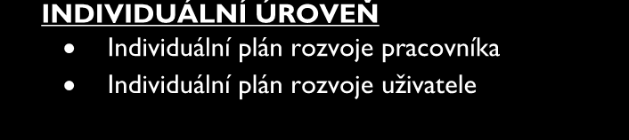 STRUKTURA ZÁMĚRŮ ORGANIZAČNÍ ÚROVEŇ Status 