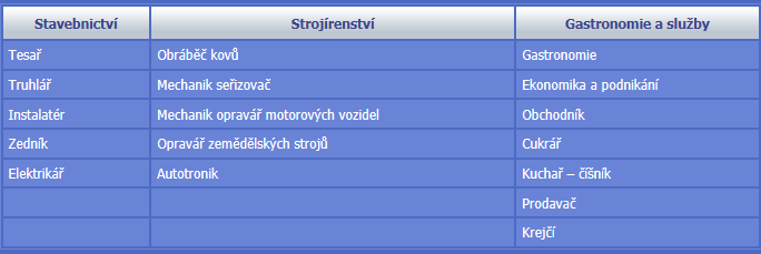 zkouškou v nástavbovém studiu (Podnikání), pět oborů vzdělávání poskytující vzdělání s maturitní zkouškou (Gastronomie, Mechanik seřizovač, Autotronik, Obchodník, Ekonomika a podnikání) a dvanáct