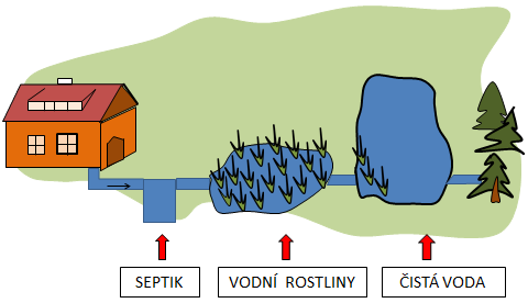 Kořenová čistička vod vypadá jako obyčejný rybník na zahradě rodinného domu a slouží k čištění odpadních vod z domu. Vodu v kořenových čističkách čistí kamení, písek a kořeny rostlin (viz.