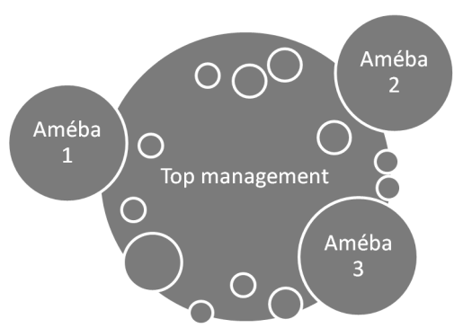 Obrázek 6: Améba Zdroj: http://www.businessvize.cz/images/clanky/ameba.png Poslední důležitou formou organizačního schématu je améba.