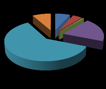 Přehled financování činností ACSA v roce 2012 podle jednotlivých zdrojů Získané finance celkem Financování činnosti ACSA Ministerstvo školství, mládeže a tělovýchovy 316 700 Kč 8% 7% 4% 1%