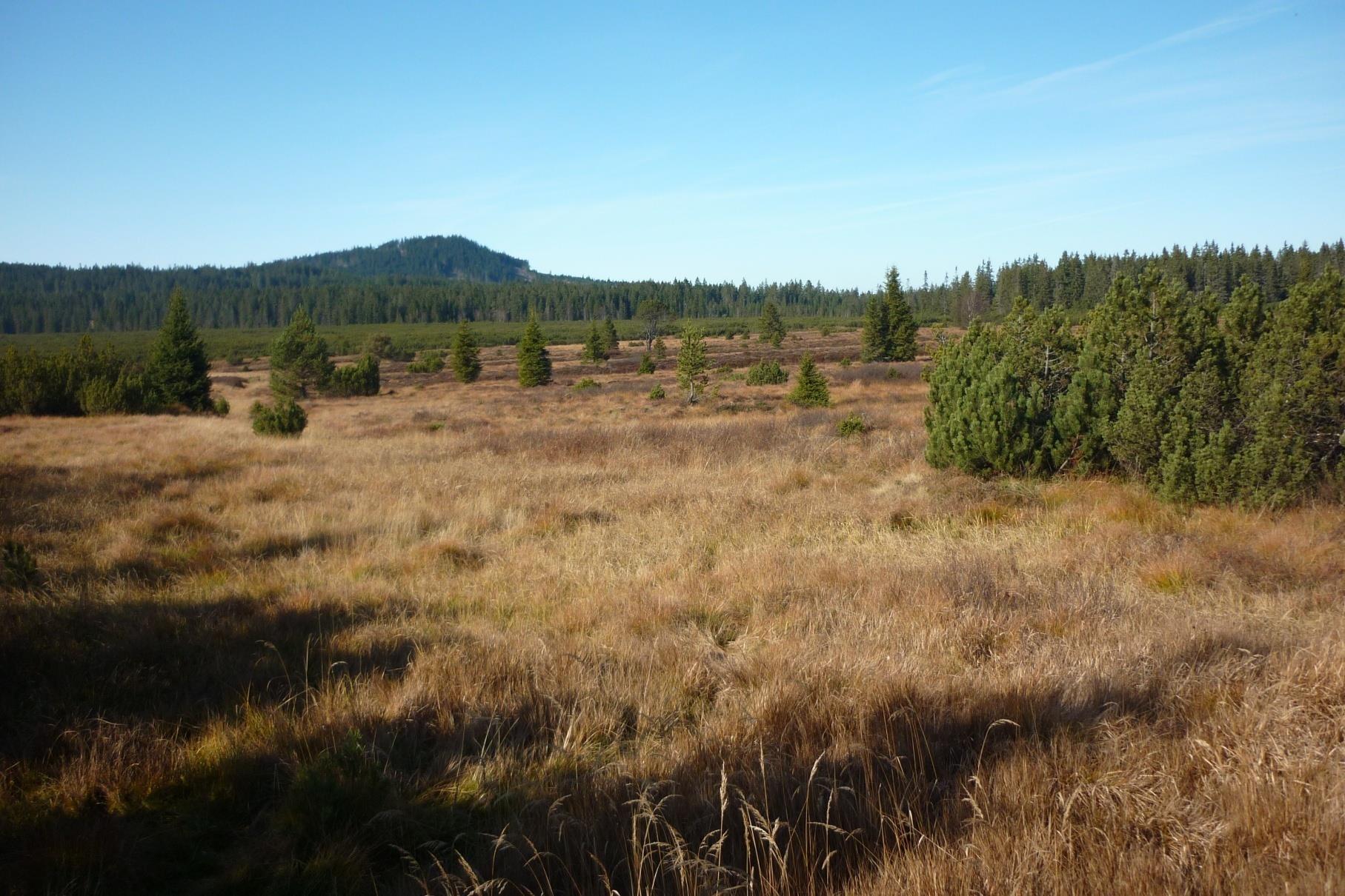 THE ŠUMAVA