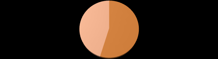 39 dívkami, což odpovídá počtu 23 dívkám, a 45 % chlapci, což odpovídá 19 chlapcům. Pohlaví tak bylo poměrně vyrovnané. Graf č.