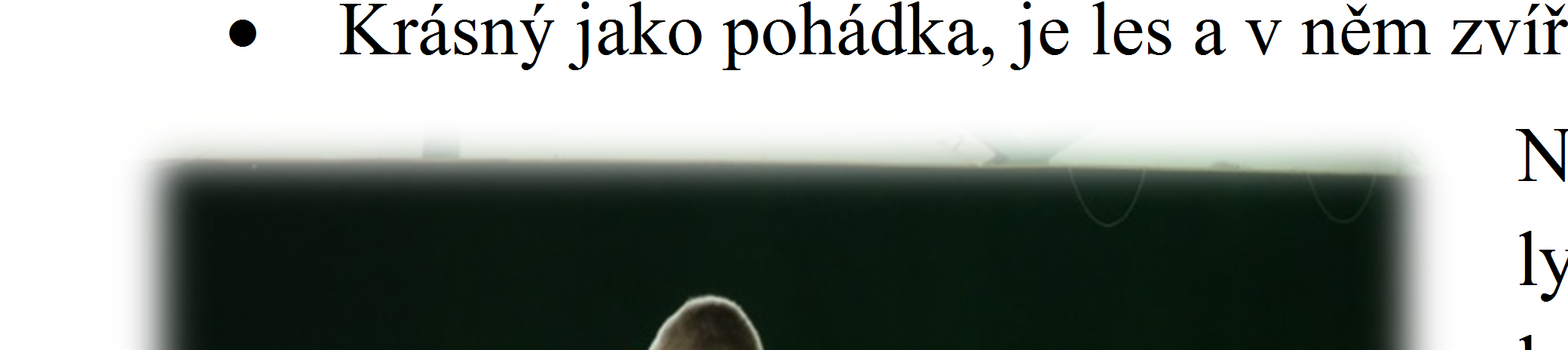 Program v MŠ je tvořen tak, aby dětem bylo umožněno: Dostatek času na prozkoumávání prostředí.