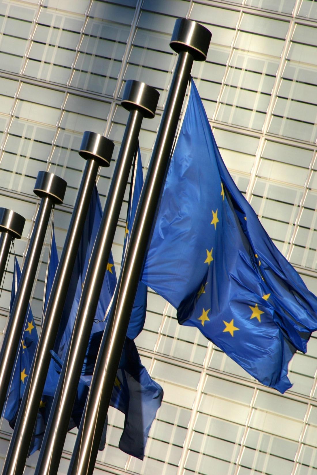 Soutěžní právo EU: přehled vývoje v uplynulém roce Petr