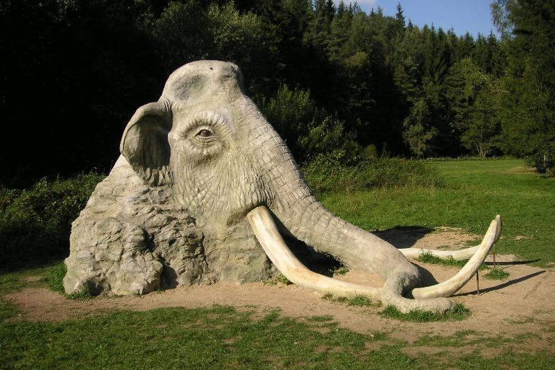 Mamut Socha hlavy mamuta se nachází od července 2006 u obce Hamry