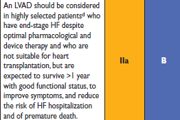 HeartMate II destination therapy