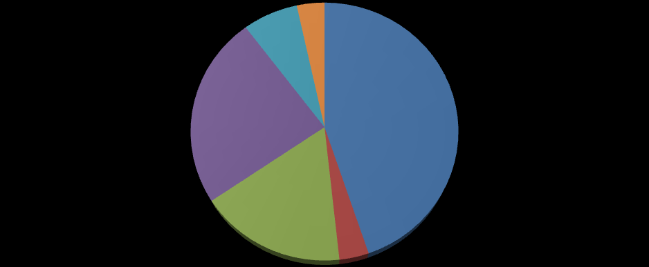 4. Údaje o počtu dětí Ve školním roce 2011/2012 z DD odešly 4 a přijaty byly 2 děti. Celkový stav dětí v evidenci ke dni 31. 8. 2012 byl 29 dětí.