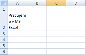 2.2 Lámání textu Obsahuje-li buňka větší množství textu, přetékající text se zobrazuje do buněk vedlejších (pokud jsou prázdné).