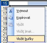 9 Operace s řádky a sloupci 9.1 Vkládání prázdných řádků a sloupců Pokud existuje vytvořená tabulka, do které je třeba přidat nový (prázdný) řádek nebo sloupec, je postup následující: 1.