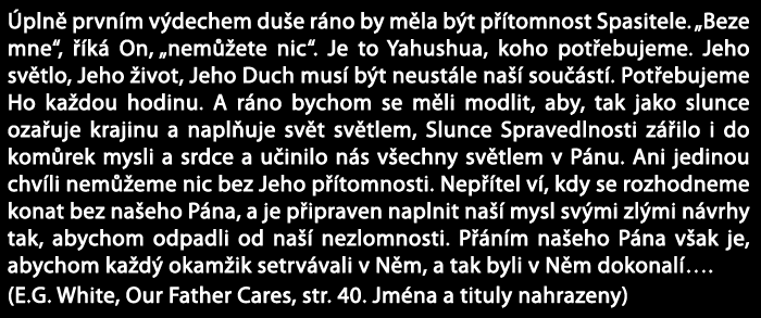 Nyní si vybuduj nezbytný, milující, důvěřující vztah s Otcem a Synem. V Nebi budou vztahy, které začaly na zemi, pokračovat a naleznou svůj nejhlubší a nejpravější význam.