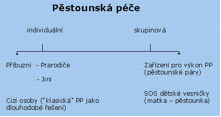 20 UTB ve Zlín, Fakulta humanitních studií, Institut mezioborových studií Brno 19 individuální p stounské pé e je skladba rodiny dána p edev ím v t ím po tem sourozenc (obvykle est a více d tí) v