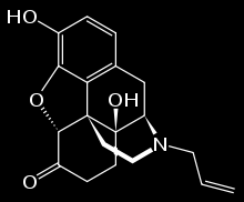 Chemické struktury některých opioidů Thebain Morfin