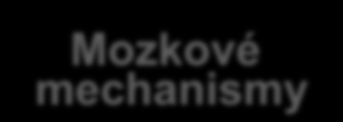 Drogová závislost komplexní neurobiologická porucha a porucha chování Historické - dřívější zkušenost - očekávání - učení Prostředí - sociální