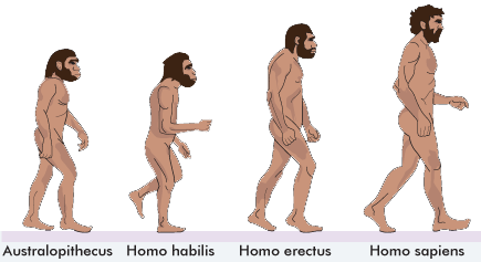 Homo sapiens 60 tis.