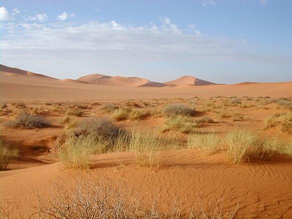 POLOPOUŠTĚ A POUŠTĚ rozkládají se kolem obratníků Raka a Kozoroha nejteplejší a nejsušší pás na Zemi (nedostatek vody, vegetace) oáza místo, kde se na poušti