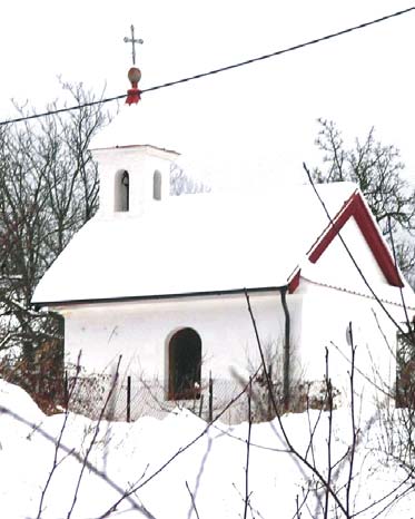 Ještě Vám prozradím, proč jsem začala dělat tuto práci - prostě proto, že jsem se velmi bála nemocí.