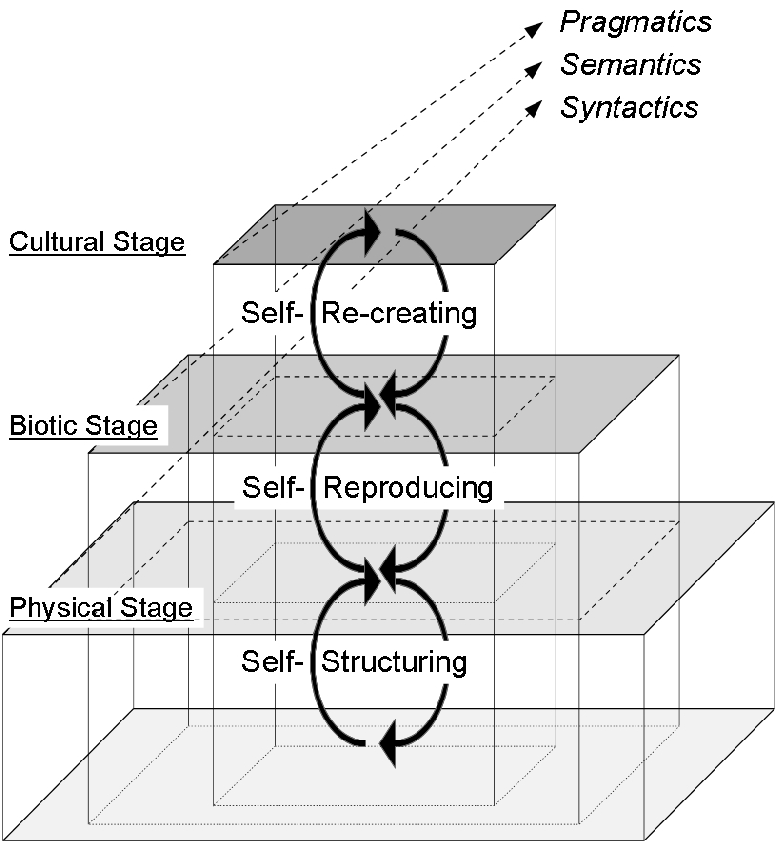 4 Information as an analogical concept and information ecology There eist paradigms in information science according to which information is an analogical concept.