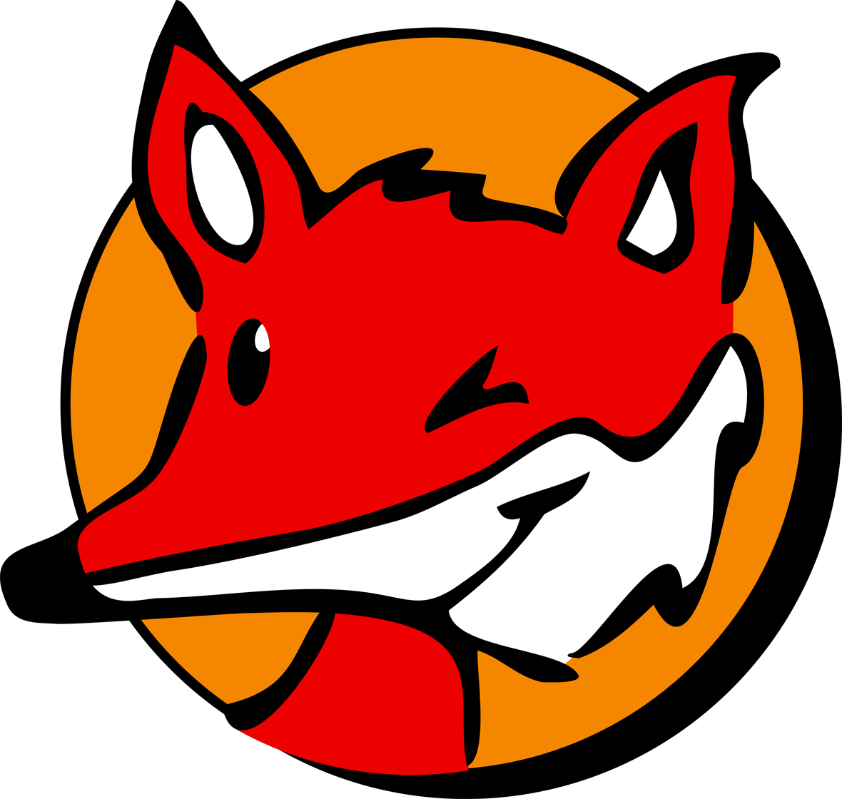 Instalační manuál pixel-fox Verze 01/2011