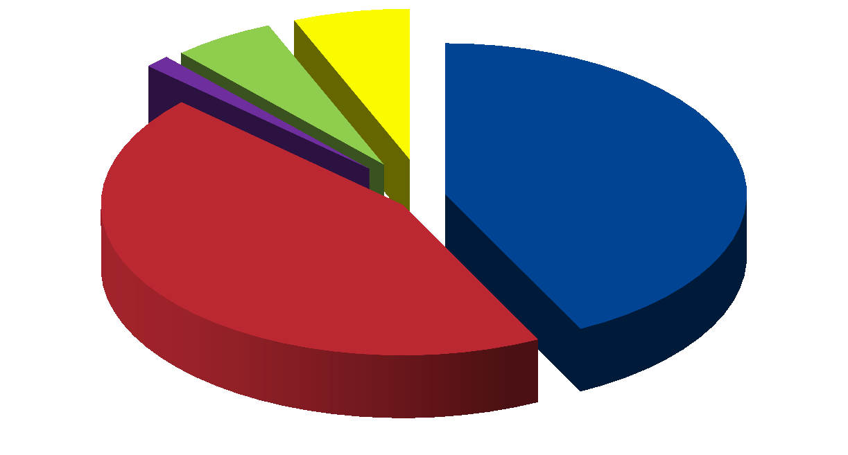 Obecné informace A.2.2 Výdaje rozpočtu EU Rozpočet roku 2011 byl sestaven na základě finanční perspektivy na roky 2007 2013.