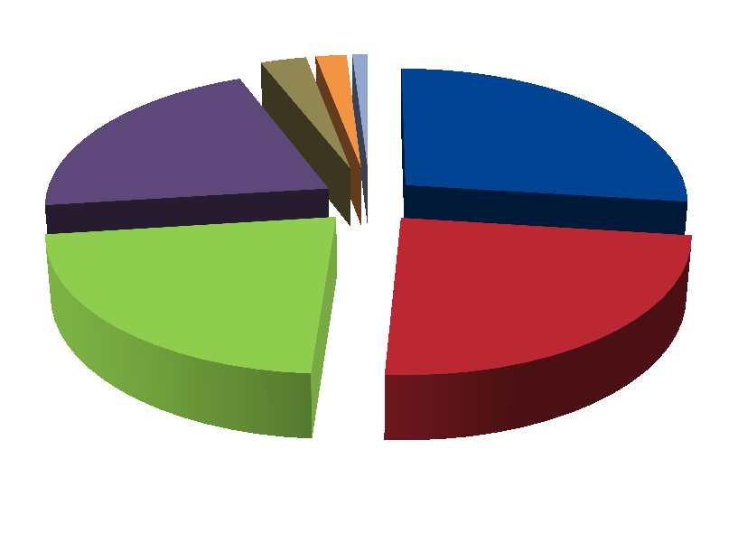 Sektorové záležitosti Graf č. 14 Typy nedostatků zakládajících nesrovnalost v programovém období 2007 2013 21 % 22 % 3 % 2 % 1 % 27 % 24 % Porušení zákona č. 218/2000 Sb.