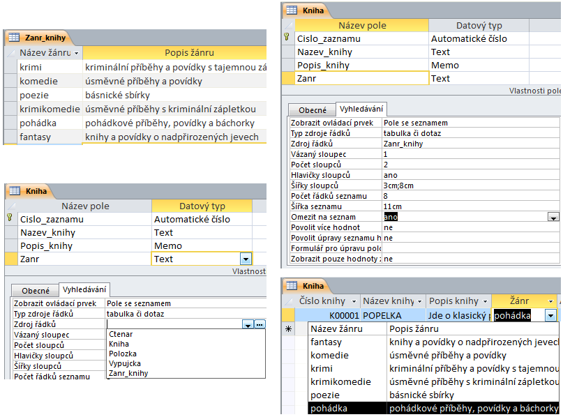 Zanr_knihy a bude datového typu text, velikosti 15 znaků a všechen obsažený text bude malými písmeny.