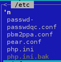 1.Základní konfigurační soubory webserveru: - Protože jde o programy portované z Linuxu pod licencí GNU/GPL s otevřeným kódem, lze tyto servery konfigurovat textovými zápisy v conf a ini souborech.