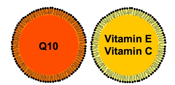 ve formě nanoemulzí o velikosti 50nm kombinace co Q10 + vitamíny E, C