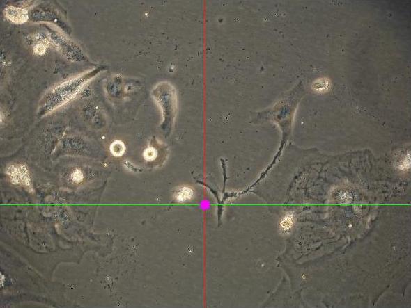 Informační příspěvek bodu - point information gain (PIG, ΔI x,y,α ) počítáme pro každý bod v obrazu ve třech barevných